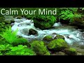 Take a Break 🍃 Relaxing Music and Sounds of Nature Forest to Relieve Anxiety - Wooden Flute