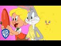 Looney Tunes | Elmer's First Date With Hair | WB Kids