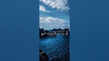 تلاوة خاشعة للقارئ ياسر الدوسري ارح سمعك #قرآن #راحة_نفسية #المصحف