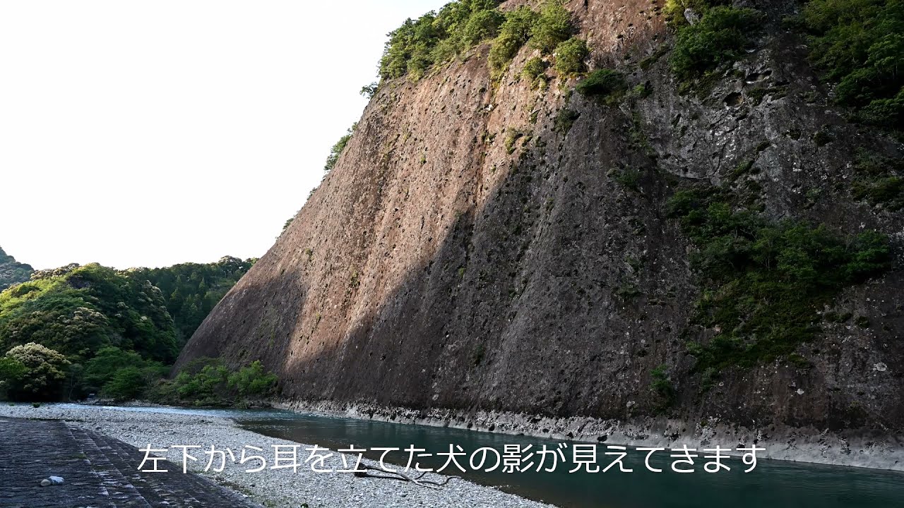 コロナも追い払うワン 一枚岩に 守り犬 出現 紀伊民報agara