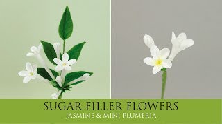 Make a Jasmine, Mini Plumeria | Sugar Filler Flowers Part 8 screenshot 4