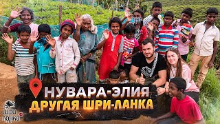 САМЫЙ КРАСИВЫЙ ГОРОД ШРИ-ЛАНКИ - НУВАРА ЭЛИЯ / Деревня тамилов