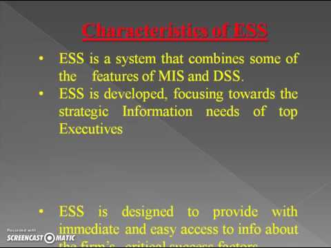 ESS - Introduction to Executive Support System