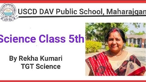 DAV Class 5 Science #3
