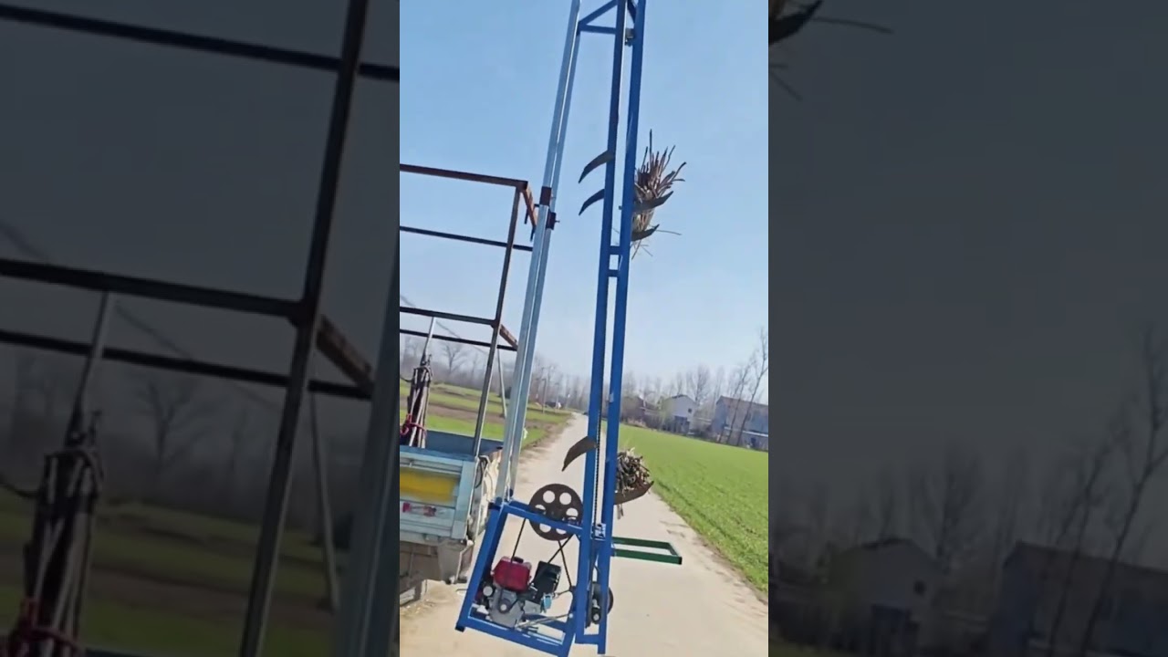 The Process Of Loading The Crop Into The Truck By Machine