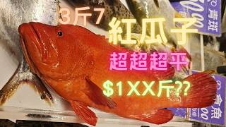 落街行個圈,遇到超平3斤7紅瓜子,破底價😍點忍到手,一魚三味~fishcutting香港海鮮~社長遊街市Seafood