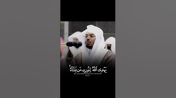 قرآن كريم بصوت ياسر الدوسري || حالات واتس اب دينية