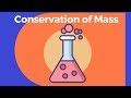 Chemical Reactions and Conservation of Mass