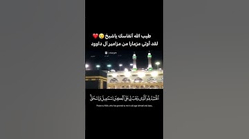 من افضل تلاوات الشيخ ياسر الدوسري وكانه اوتي مزمار من مزامير آل داوود | ربنا ليقيموا الصلاة فاجعل…..