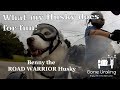 Road Warrior Husky Rides for Fun!