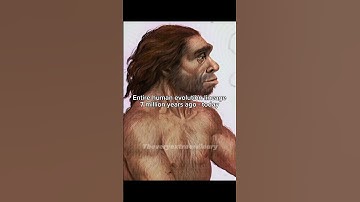 The 7 million year human evolution lineage #prehistoric #human #evolution #earlyhumans #science