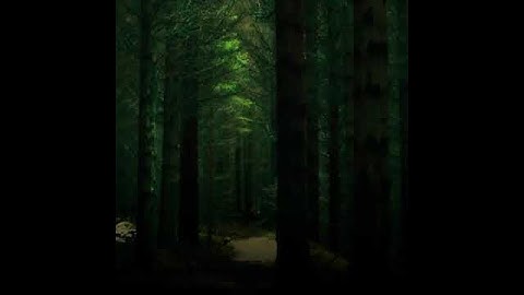 القارئ / عبدالمحسن الضباح 🍀 اتقوا الله❤️ وقولوا قولا سديدا 💔ستوري قرآن 💚storie quran