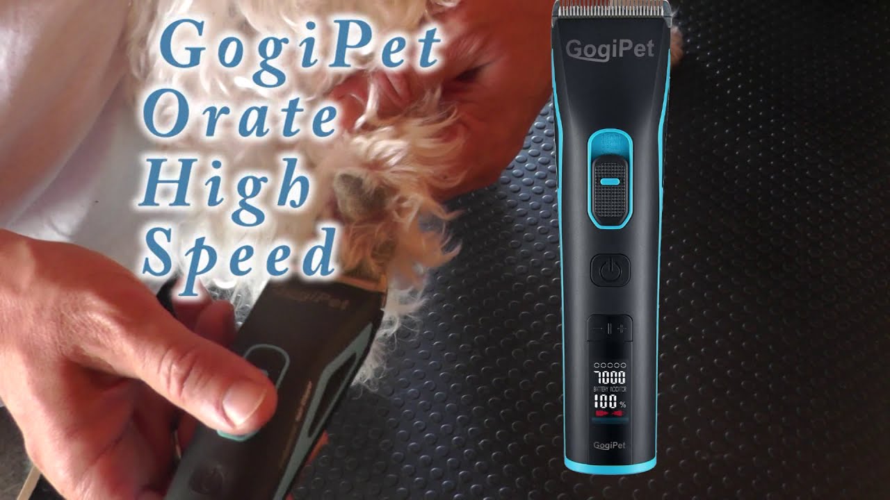 Gogipet Orate Speed Hybrid Hundeschermaschine Mit Scherkopf
