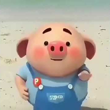 Animasi babi lucu