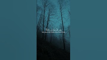 #سورة الروم بصوت #الشيخ#ياسر_الدوسري #الجميلة #تلاوة_خاشعة