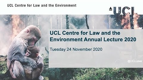 Zoonotic Disease Emergence and the EU’s Global Environmental/Land Use Footprint