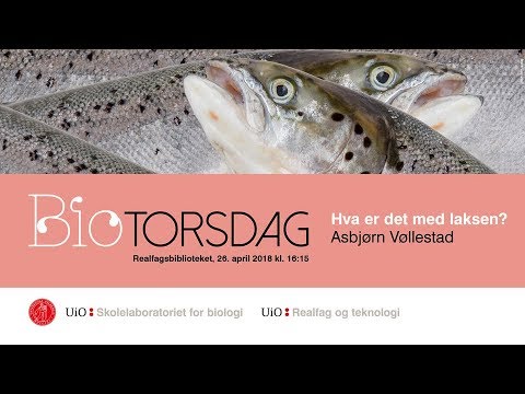 Video: Hva er en vitenskapelig lov i biologi?