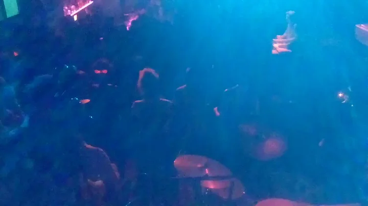 Akoya Afrobeat Movement Felabration 2019