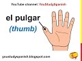 Spanish Lesson 23 - THE FINGER NAMES in Spanish Los dedos de la mano en español