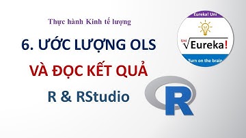 R | 6. Ước lượng OLS và đọc kết quả - Hướng dẫn R Kinh tế lượng