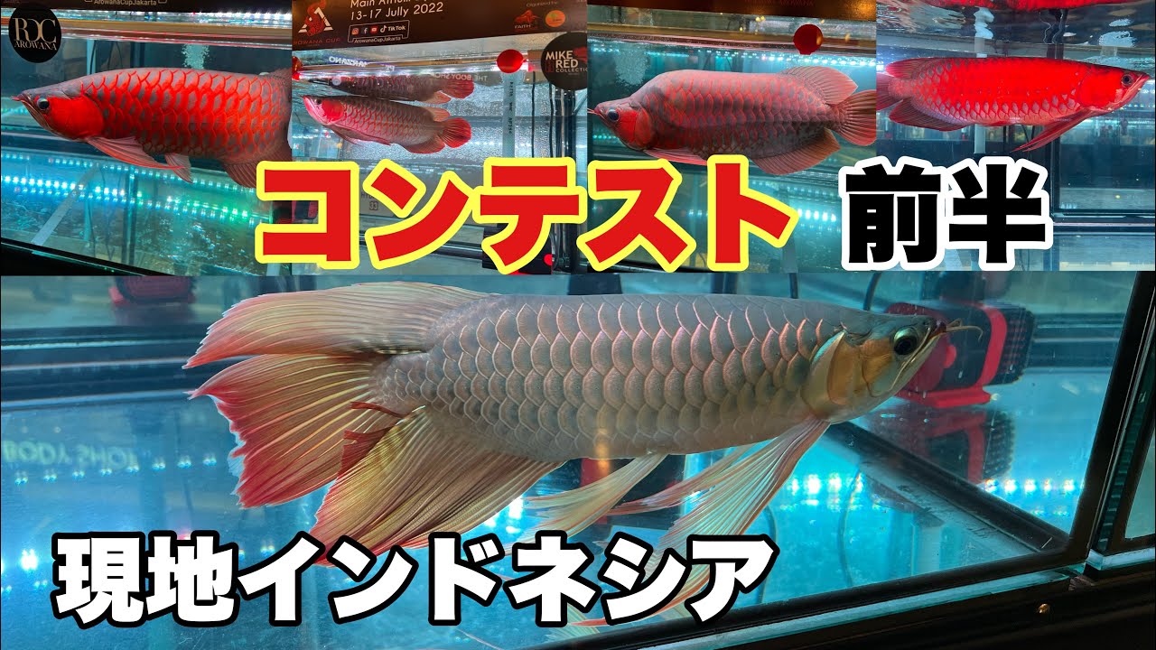 【インドネシア】コンテストは異次元だった 前半