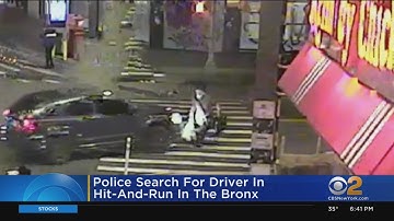 Police Search For Driver In Bronx Hit-And-Run