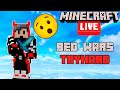 Em busca do level 60 no BedWars do MUSH