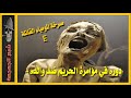 المومياء الصارخة بالمتحف المصري هل ظلمها التاريخ 