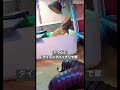 荒ぶるボビング #shorts #フトアゴヒゲトカゲ #フトアゴ #ボビング #うるせぇやつら #爬虫類 #beardedlizard #ペット #ペット動画 #おもしろ #おもしろ動画