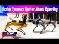 Trên tay Xiaomi CyberDog và Boston Dynamics Spot - 2 robot chó nổi bật tại MWC 2022