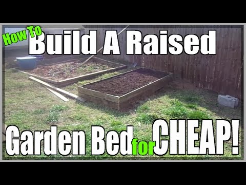 How to Build a Raised Garden Bed CHEAP - YouTube