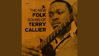 Video thumbnail of "Terry Callier - Golden Apples Of The Sun"