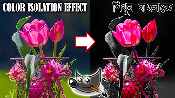 Color Isolation Effect || Splash Color Effect with Gimp || গিম্প সফটওয়্যারে ফটো এডিটিং শিখুন