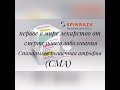 Спинальная мышечная атрофия СМА это самое распространённое из редких генетических заболеваний Спинальная мышечная атрофия СМА это самое распространённое из редких генетических заболеваний