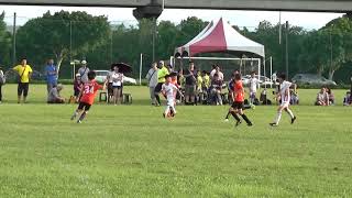 20190908 U聯賽 大安白(U10) V.S FC Tigers 1:2(下半場)