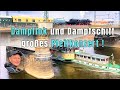 Dampfschiff trifft Dampflok in Dresden - Großes Pfeiffkonzert