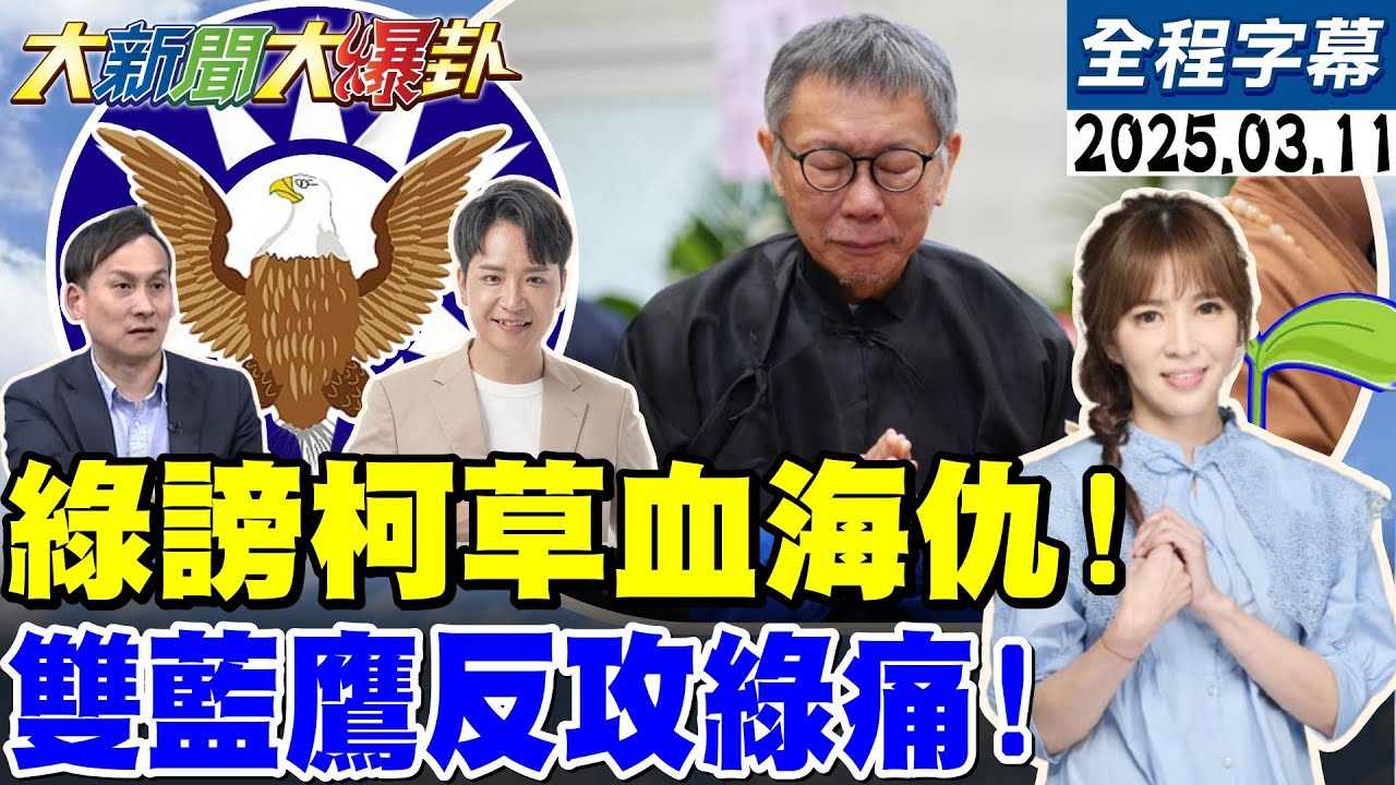 【全程字幕】綠謗柯全家小草血海深仇!葉元之.羅廷瑋打綠十倍奉還!卓揆想見昌被嗆”我不會上當”!【#大新聞大爆卦】20250311@大新聞大爆卦HotNewsTalk