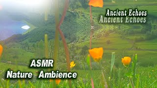 ☯ASMR ECHO Mystic Flow ☯ Ethereal Nature Ambient Music 🌼Unintelligible Mountain Echoes of the Hidden