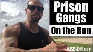 Prison Gangs On The Run