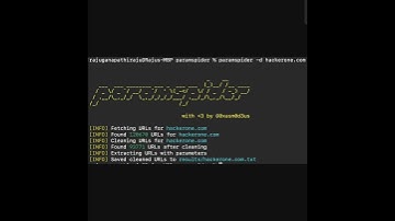 Paramspider tool #bugbounty #appsec #cybersecurity