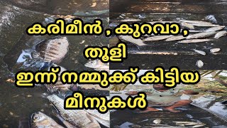 ഇനന നമമകക കടടയ മനകൾ......