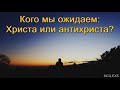 "Кого мы ожидаем: Христа или антихриста?". С. И. Бублик. МСЦ ЕХБ.