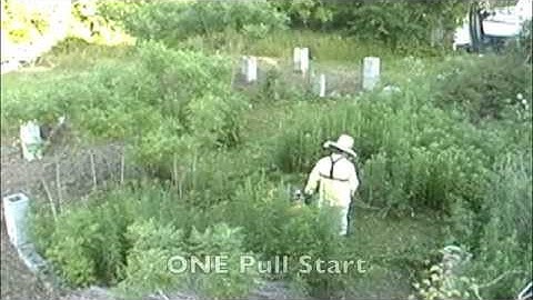 clearing brush with Cub Cadet 22 inch String Trimmer ST 100