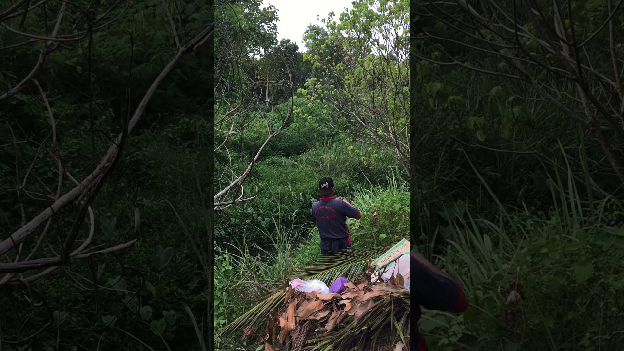 Uncut video...casting haruan saiz mega tepi rumah...