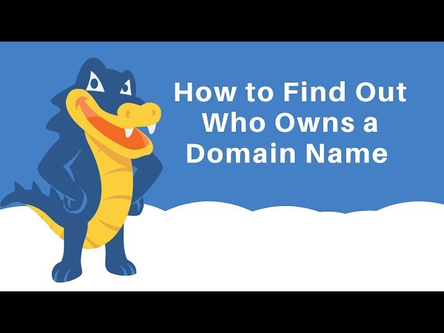 How to Find Out Who Actually Owns a Domain Name? (3 Ways)