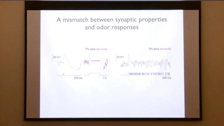 Allison J. Doupe Memorial Symposium - Katherine Na...