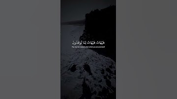 سوره المؤمنون بصوت الشيخ ياسر الدوسري من الايه ٣٤ إلي ٤٠