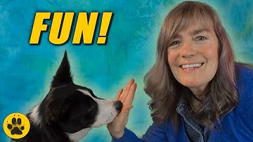 Fun Recall Games For Dogs - Hand Target Training