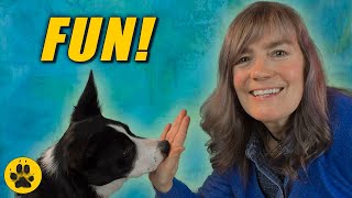 Fun Recall Games For Dogs - Hand Target Training by The Dog Vlog 2,394 views 3 years ago 3 minutes, 40 seconds