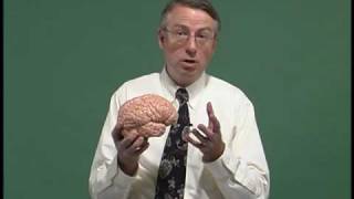 NeuroLogic Exam Videos : Introduction